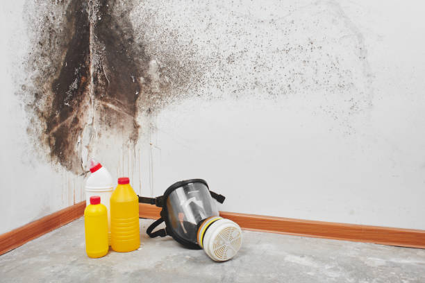 Best Residential Mold Remediation in Lake Wilderness, VA