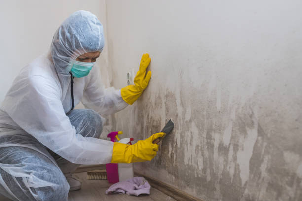Best Bathroom Mold Remediation in Lake Wilderness, VA