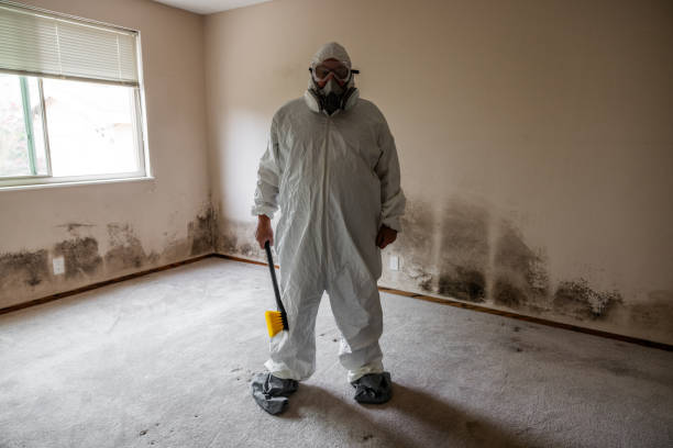 Best Industrial Mold Remediation in Lake Wilderness, VA